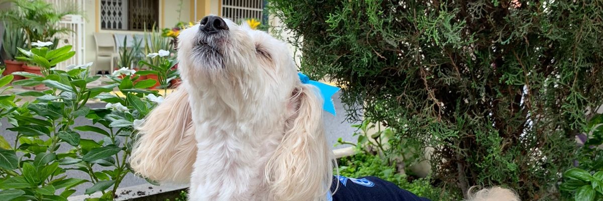 JaniM099's profile banner image