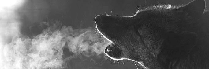 Guada_Rodz's profile banner image