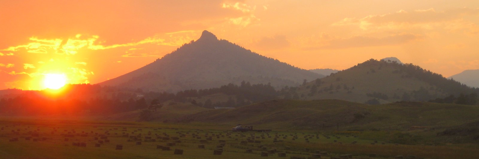 Greencolorado's profile banner image