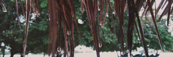 souollaa Profile Banner