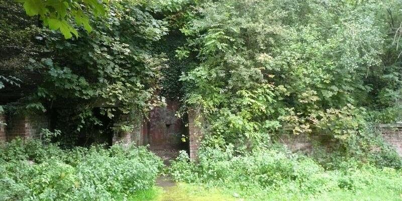WatnallBunker's profile banner image