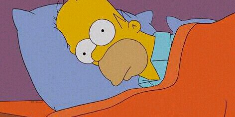 ridho muhammad zein banner