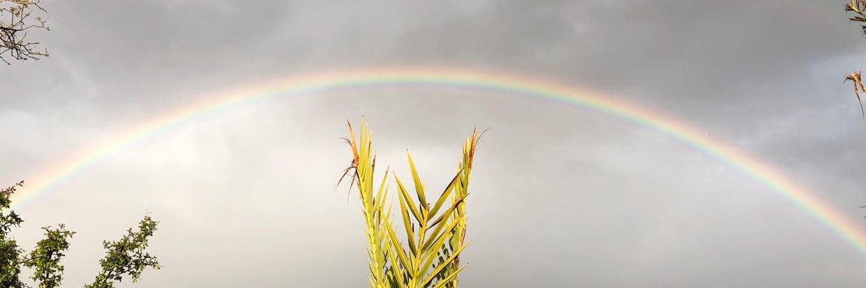 theiban's profile banner image