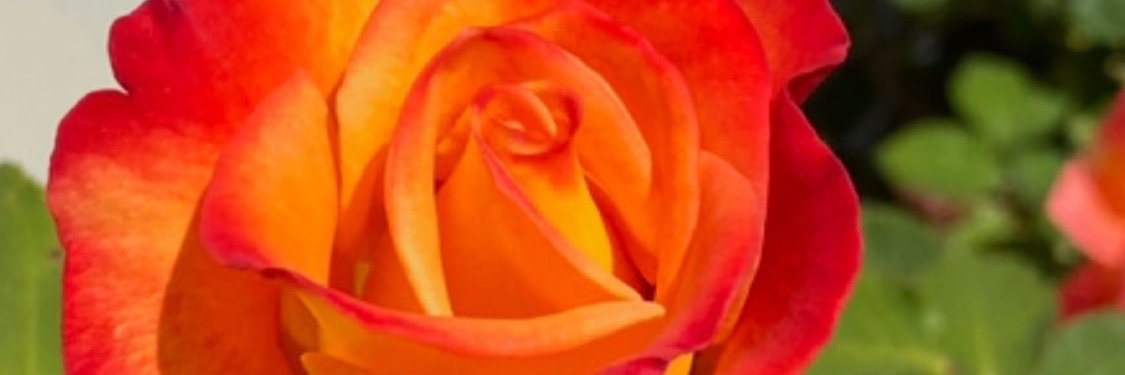 JustJREAM's profile banner image