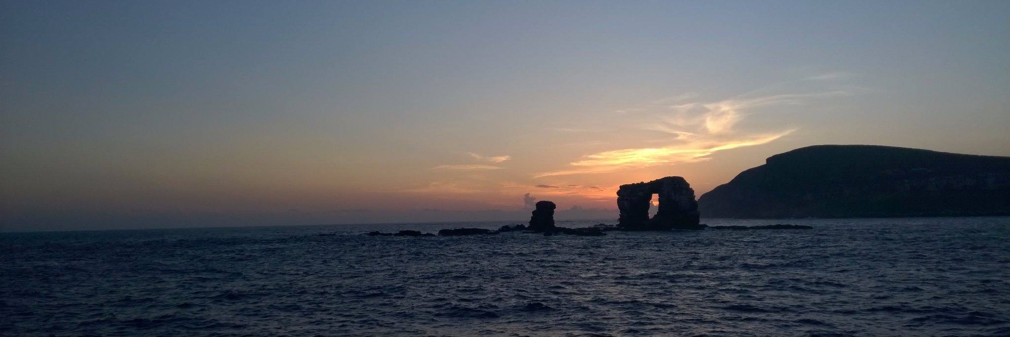 Chabert de Radzitzky banner