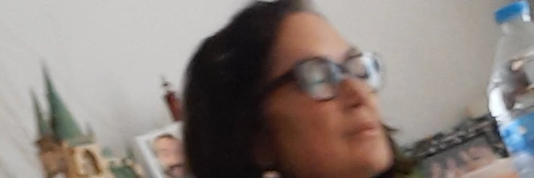 empar alapont casañ banner