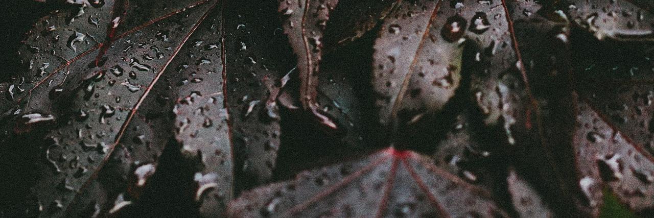 SamFranklin_1's profile banner image