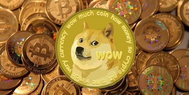 Doge_Report's profile banner image