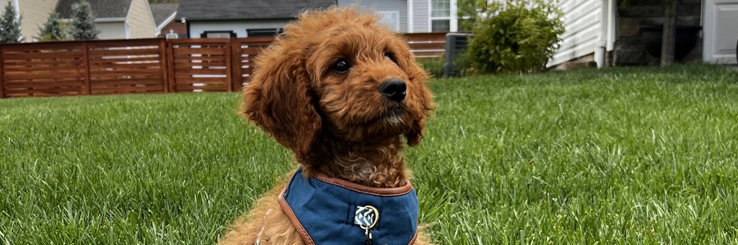 chrisbitlerii's profile banner image