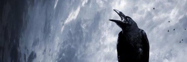 gr_grim Profile Banner