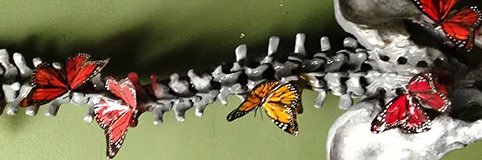 Jerome Paquet banner