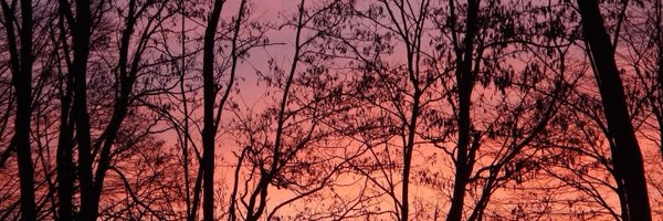 SamKessel Profile Banner