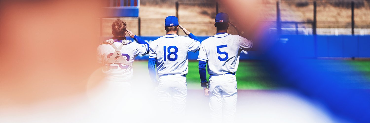 Air Force Baseball's banner