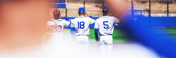 Air Force Baseball Profile Banner