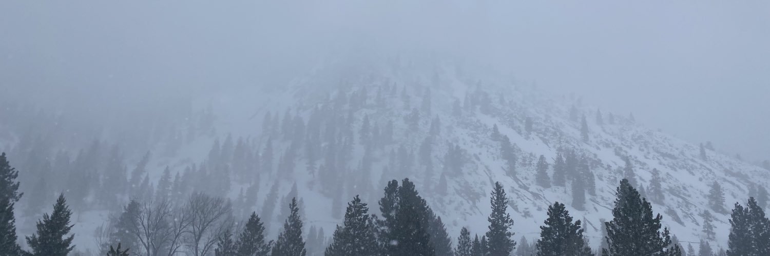 cecefoltz's profile banner image