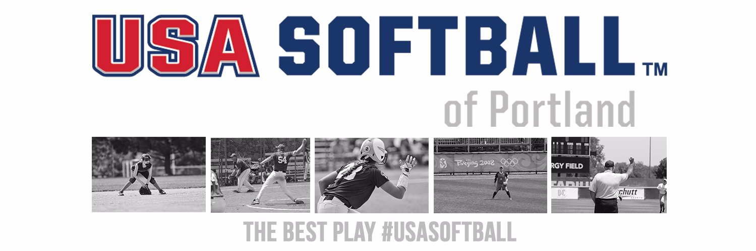 PMSA_Softball's profile banner image