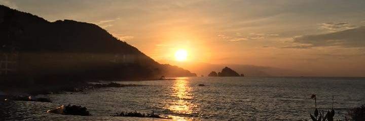 Dr. Dolittle aka 🥜👑 banner