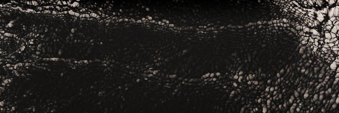 Lynda Laird banner
