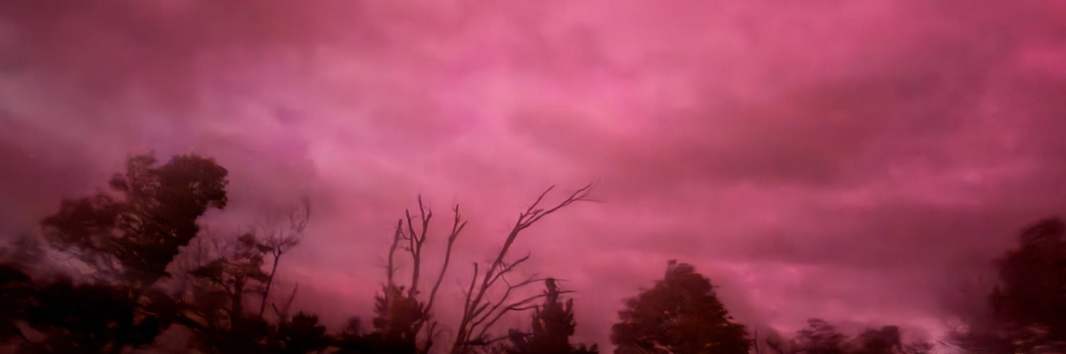 Michellelee413's profile banner image