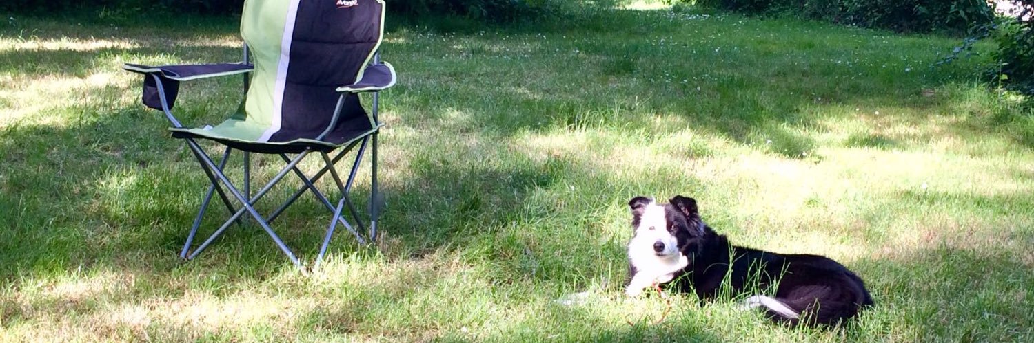 Daisy Doo 😊Mair the Collie 🌈 banner