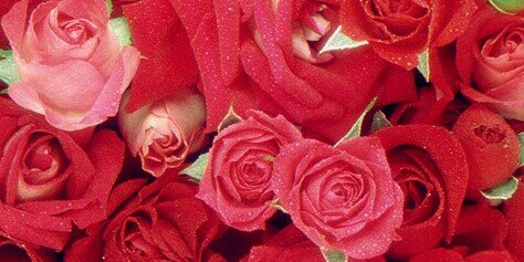 ivyy96's profile banner image