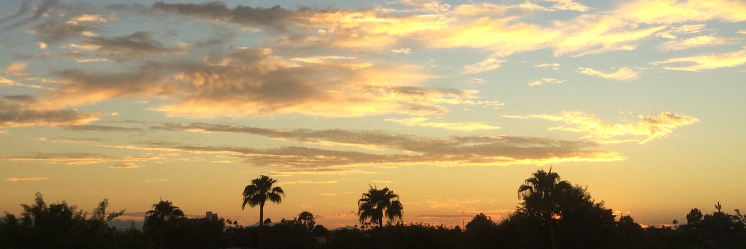 EdgarAllanBro banner