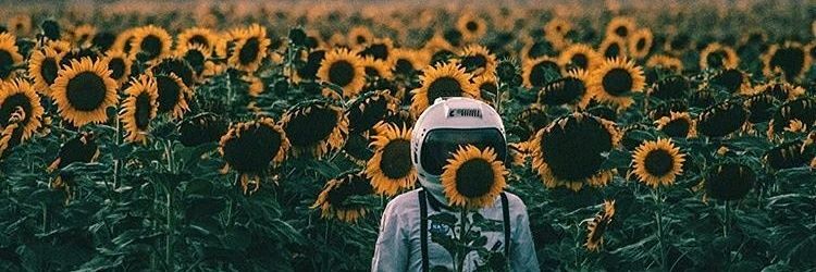 sui_nui's profile banner image
