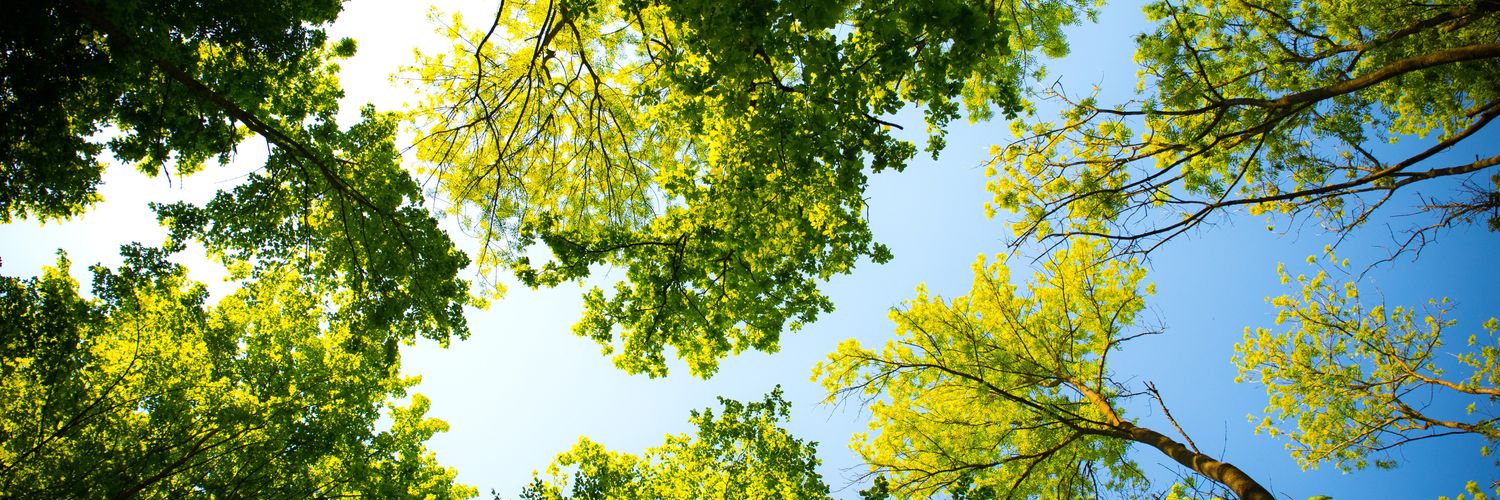 Sustainativity's profile banner image