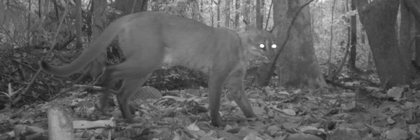 uberhyped Profile Banner