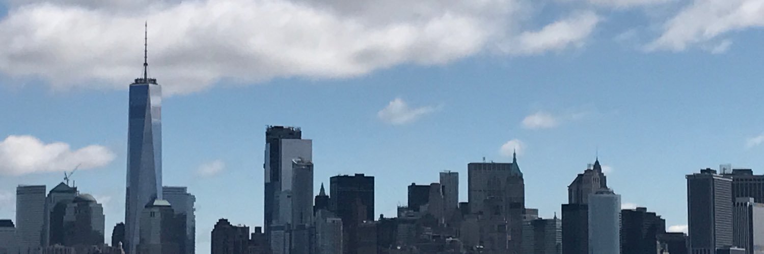 NatCatWoman's profile banner image