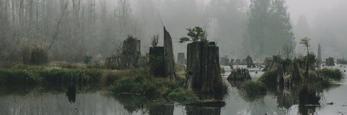 CallMeTibbit's profile banner image