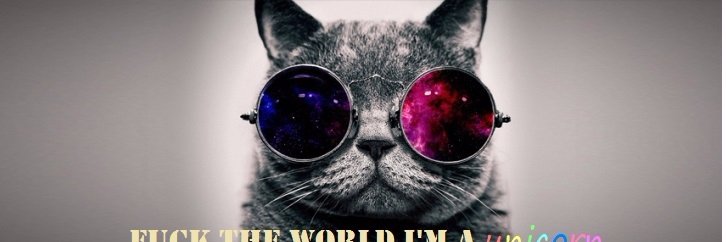 PinkCyberKitten's profile banner image