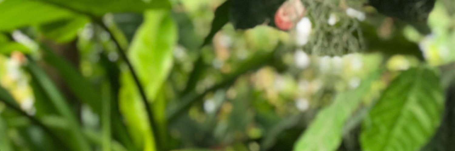 _team_luke's profile banner image