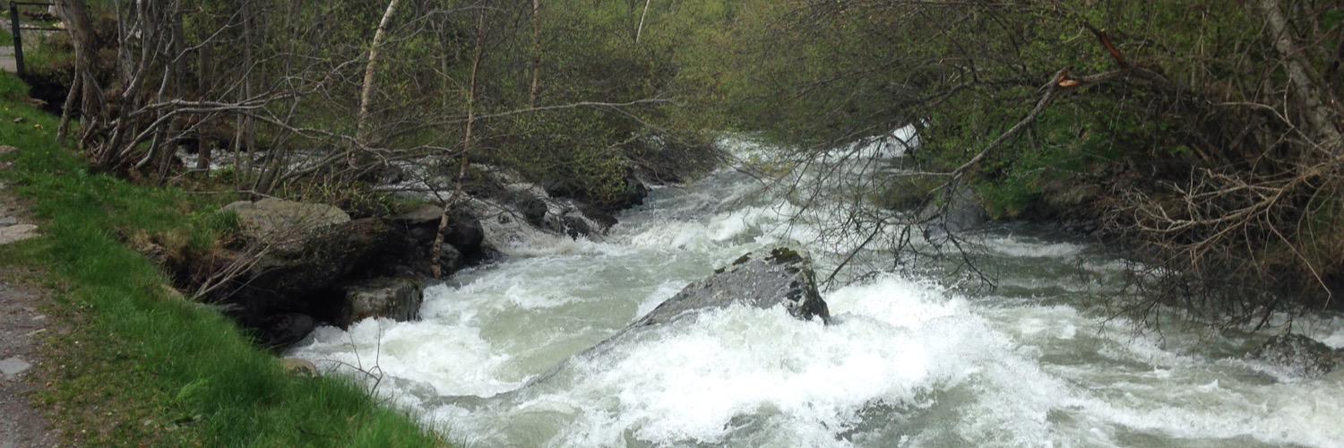 Geoffrey Lean banner