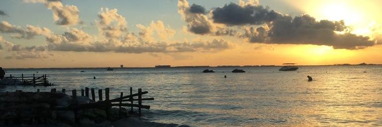 LauCance's profile banner image