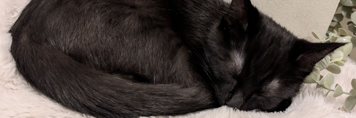 arVItrum's profile banner image