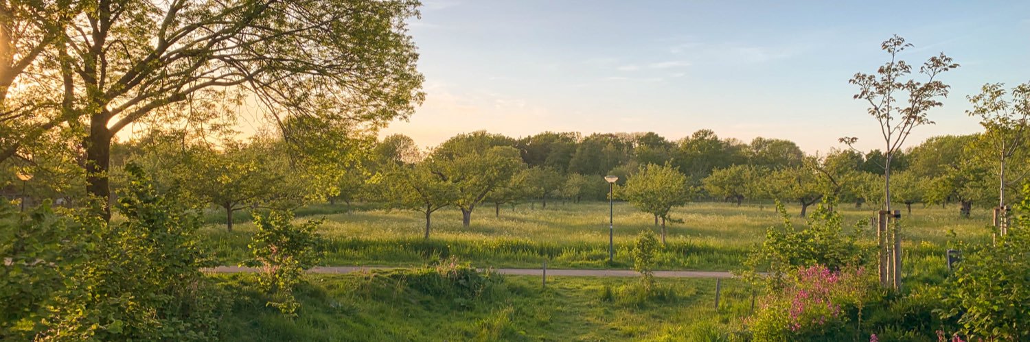 Wessel_Koster's profile banner image