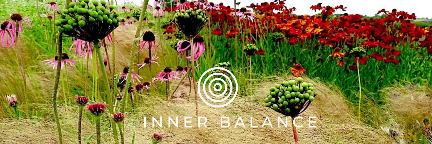 BalanceCarmen's profile banner image