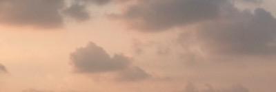 daughter. banner