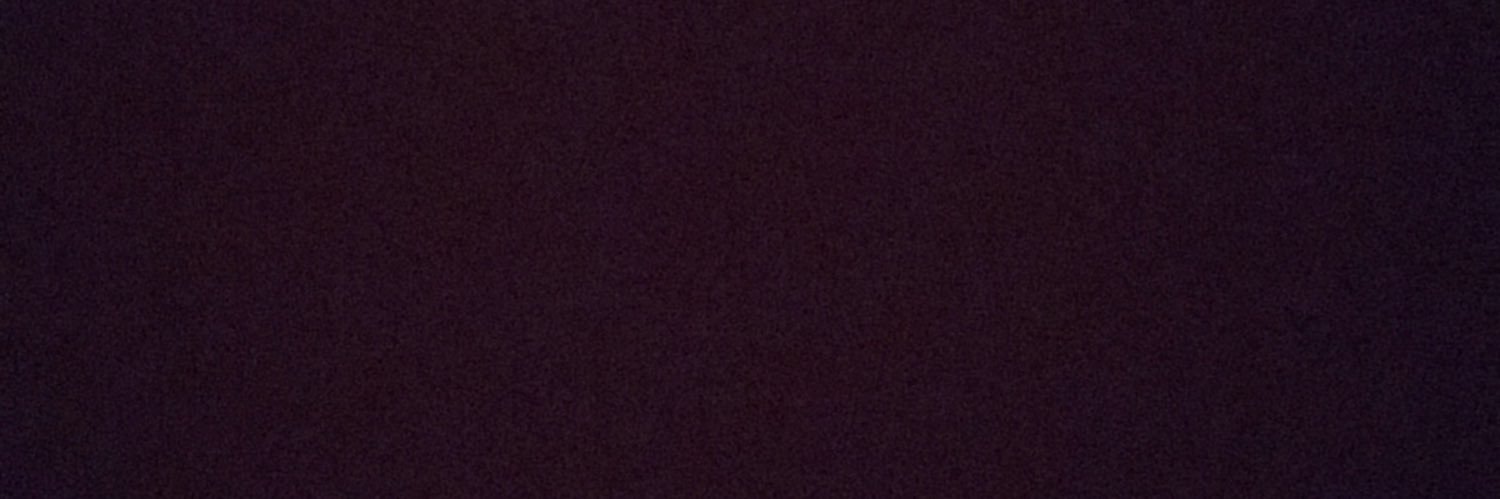iamtoddtoddisme's profile banner image
