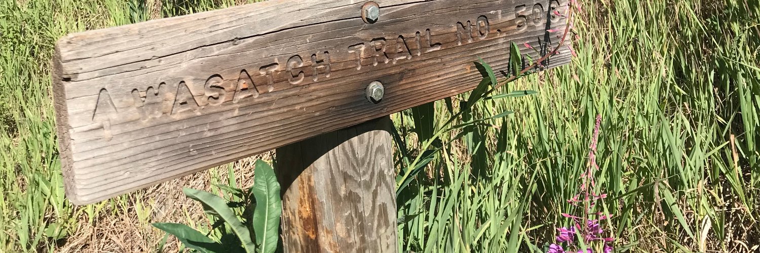 Brian Tyson banner