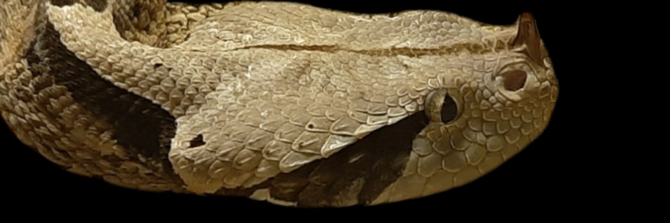 Jess13Joubert's profile banner image