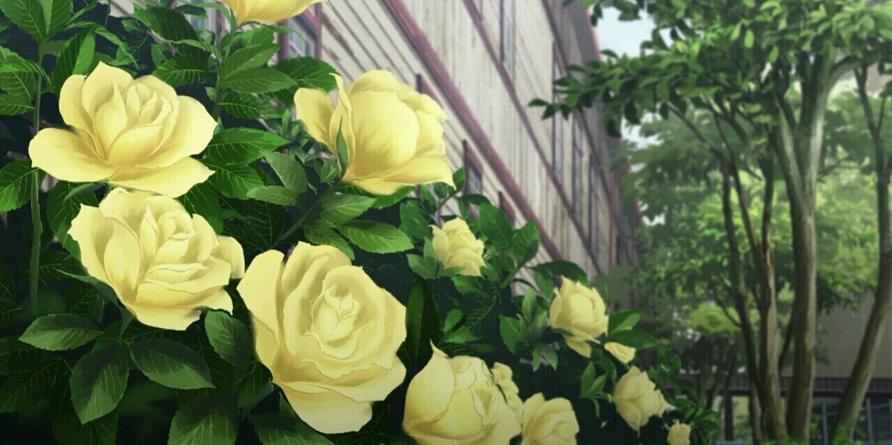 ormaline92's profile banner image