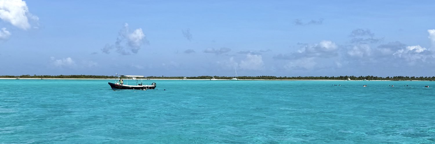 julicardenass's profile banner image