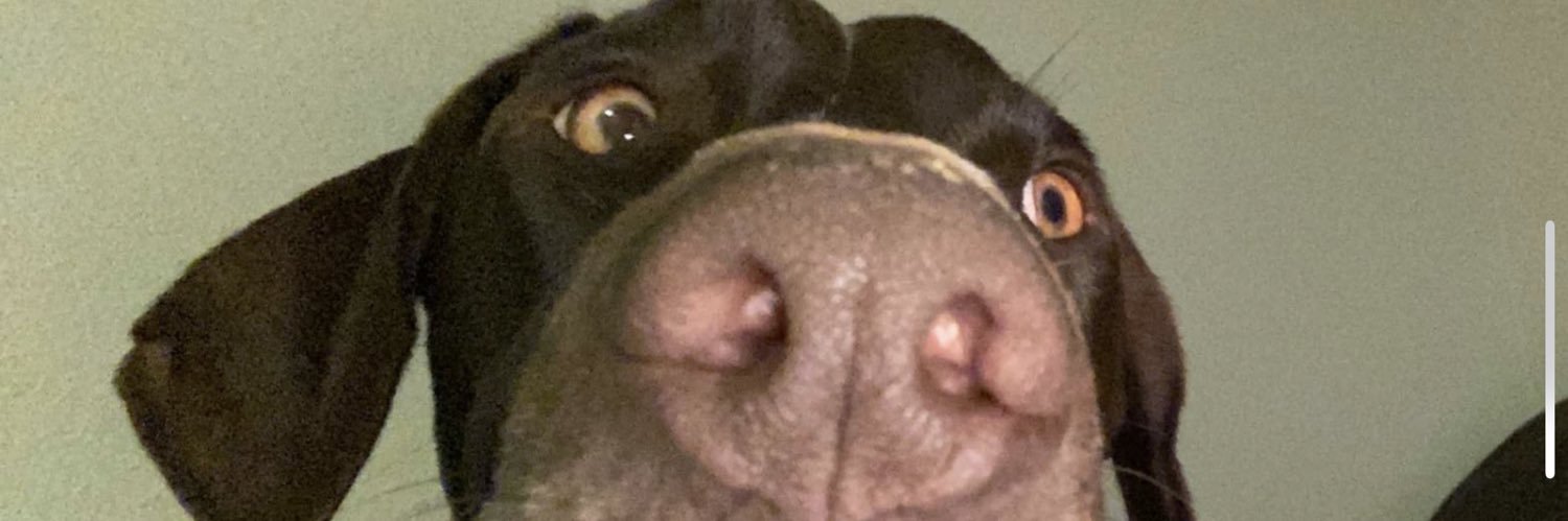 Amiller8381's profile banner image