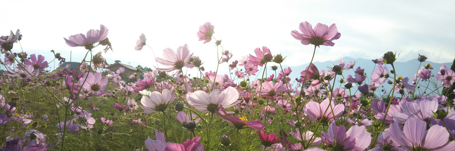 abebe7929's profile banner image