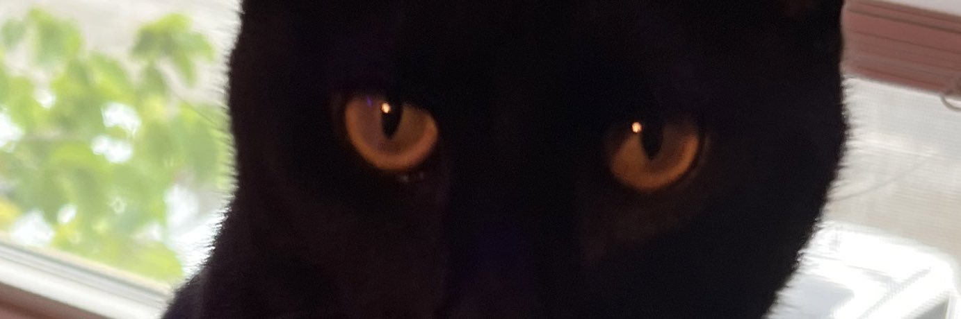 davisayshi's profile banner image