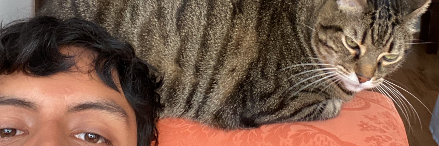 briaanelmo's profile banner image