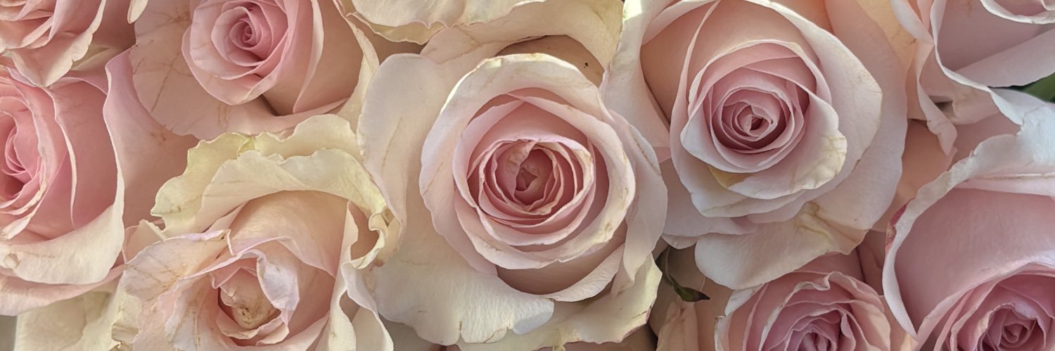 helloosashaa's profile banner image