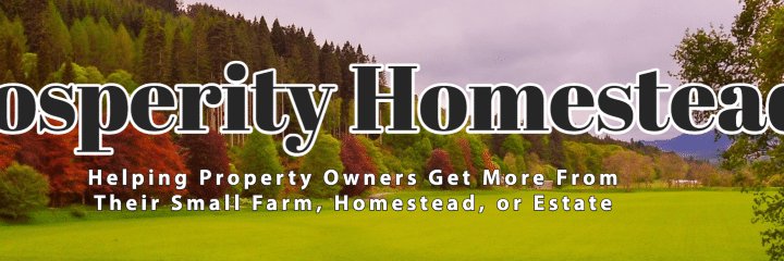 ProsperityHmstd's profile banner image
